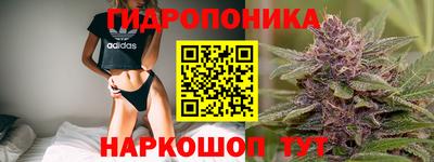 тгк Рыбинск